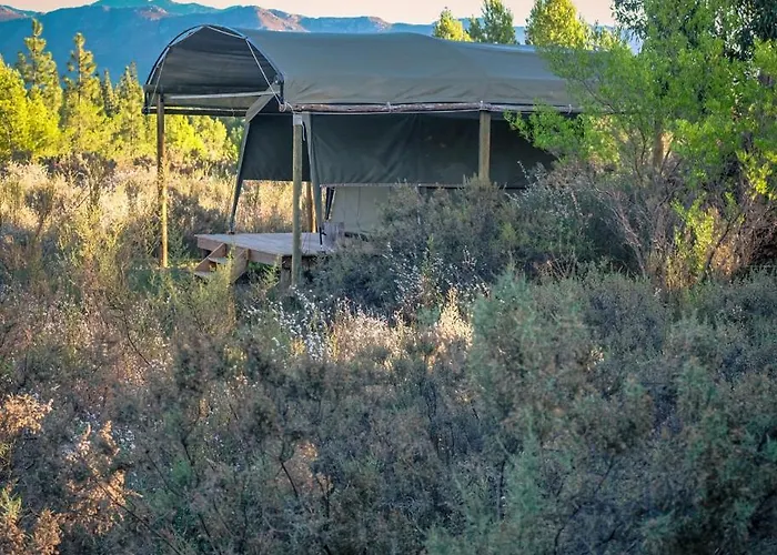 Bike Forge Glamping